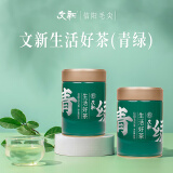 文新绿茶青绿信阳毛尖特级100g2024年雨前罐装新茶上市