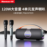 纽曼（Newmine）N500无线蓝牙音箱广场舞音响家庭KTV套装户外大音量便携式大功率低音炮双麦