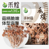 禾煜 福建茶树菇 200g  鲜嫩不开伞  火锅煲汤凉拌食材