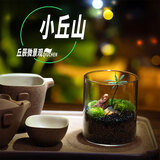 丘辰生命之树苔藓微景观生态瓶diy办公桌面绿植摆件造景花卉盆栽礼物 小丘山 微景观