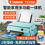 佳能（Canon） TS5380打印机家用喷墨连供彩色黑白家庭学生手机无线照片复印扫描一体机自动双面 套餐二【粉绿】主机+升级连供加墨+墨水8瓶