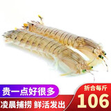 喜鲜德春节正常发货 鲜活海捕 大号皮皮虾 无冰净重 公 母 虾爬子 冰鲜 全母虾 3斤装（共45-60只）