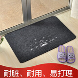 壹志入户垫地垫进门垫脚垫客厅卫生间防滑家用卧室简约厨房浴室大号款 龙猫黑色 40x60cm