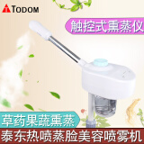 TODOM 喷雾补水仪热喷蒸脸器美容仪多功能花茶喷雾机蒸脸仪家用保湿补水 触控升级版-单热喷