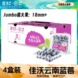 佳沃（joyvio）云南当季蓝莓大果18mm+ 4盒装 约125g/盒 生鲜 新鲜水果