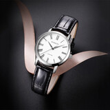 罗西尼手表男士手表启迪系列情侣手表男表商务风石英表皮带男士腕表 【送礼专享】黑皮白面女表