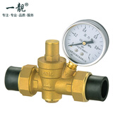 一靓 黄铜家用减压阀净水器热水器热熔接头ppr25减压阀 自来水6分ppr接头 F2款:6分 PE 25 带有压力表 黑色