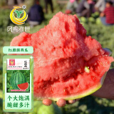 凤鸣雅世早熟大棚四季种籽薄皮礼品西瓜种子粉红瓤红麒麟西瓜种子50粒
