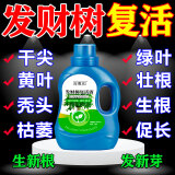 植物复活液枯树黄叶成活液烂根烂苗强力生根剂植物花卉通用营养液 发财树复活液【专用型】1棵树1瓶