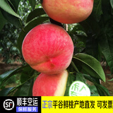 禾人平谷鲜桃 平谷鲜大桃平谷桃 脆甜平谷桃新鲜水果桃子礼盒装 平谷鲜桃精品果6斤+【特级装】 平谷产地直发