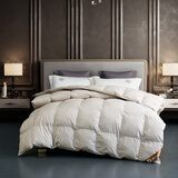 奈士迪95白鸭绒羽绒被加厚保暖冬被芯单人鸭绒被冬天季春秋被子 浅灰色 200*230cm冬被（填充1300g）
