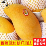 三萌果蔬金煌芒果 水仙大芒果新鲜芒果应季水果海南盒子送礼整箱 9斤家庭分享装【超好吃】净重8斤 手挑老树果【单果约200g+】