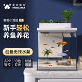 宠小到大智能鱼缸客厅一体缸自循环小型迷你生态水族箱桌面超白玻璃造景 鱼缸Mini白色【APP版9L】