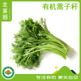 北菜园北菜园有机蒿子秆茼蒿250g新鲜有机蔬菜【进店多样加购】火锅涮菜