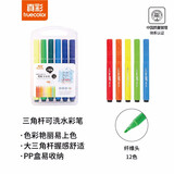 真彩(TRUECOLOR)12色水彩笔可水洗安全无味彩色绘画笔套装幼儿园儿童涂色涂鸦画笔小学生美术用生日礼物2102