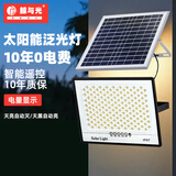 鲸与光 太阳能路灯户外照明灯防水室外灯一拖一路灯分体式路灯路灯 LED道路灯 满天星-2000