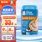 嘉宝（GERBER）美国进口嘉宝高铁米糊米粉果味米粉 宝宝米糊 儿童米粉宝宝米粉 4段香蕉苹果草莓 227g 效期25年7月