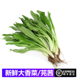 桃李村【顺丰】大香菜新鲜芫茜 刺芹芫西冬阴功材料芫荽泰式香菜 250g