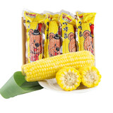 棒棒香黄糯玉米棒张家口香甜软糯玉米早餐黏甜苞米 健康轻食6支装