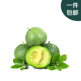 趣尝鲜绿宝甜瓜 4.5斤 单果250g+ 1号会员店 源头直发 一件包邮