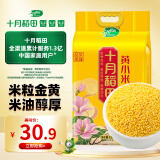 十月稻田 黄小米2.5kg 小米5斤 粗粮杂粮煮粥蒸饭  中秋节团购礼品