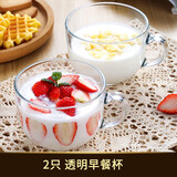 青苹果 2件套北欧茶色玻璃燕麦早餐杯家用耐热大容量牛奶杯带盖勺马克杯 2只透明早餐杯