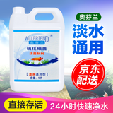 奥芬兰（ALLFRIEND）鱼缸硝化细菌水族箱稳定净化水质剂澄清剂淡海水通用锦鲤龙鱼专用 淡水通用 5L/桶