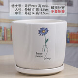 裕轩堂陶瓷花盆绿萝欧式简约高款家用桌面室内客厅阳台带托盘兰花虎皮兰 7249471 特大