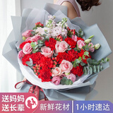 植伴康乃馨百合鲜花生日祝福探望病人母亲节鲜花速递送妈妈全国同城店 Q款-19朵康玫瑰混搭