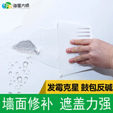 海狸大师墙面补墙漆墙壁修补膏家用修复大滚筒乳胶漆自刷去污白色涂料 防水补墙膏/约20平方 12kg*1件