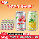 宏宝莱330ml经典荔枝味老汽水易拉罐装东北怀旧碳酸饮料 荔枝汽水*12罐+凤梨汽水*12罐