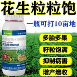 花生膨大粒粒宝高增产增收叶面肥分叉下针剂花生膨壮粒粒饱水溶肥 1瓶500克 发新包装