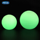 petmate美国进口Chuckit夜间宠物狗玩具球防丢夜光弹力球挥捡球杆 夜光弹球2只装（中）6.4cm