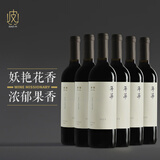 怡园酒庄【香气扑鼻 单宁柔顺】山西怡园酒庄 怡园年华干红葡萄酒2023年 年华干红*6瓶整箱