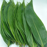 御农优品（YUNONG YOUPIN）粽叶粽子叶新鲜大粽叶包粽子箬竹叶端午节芦苇叶