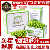 辣青春【顺丰多地次日达】云南阳光玫瑰青提葡萄晴王当季新鲜水果礼盒装 白色恋人4斤【浪漫礼盒装】 颗颗甄选