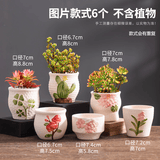 源老舍多肉拼盘盲盒花盆陶瓷家用法师蛋桃肉肉小盆高颜值陶土透气种植盆 素烧6个装 中等