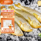 1号会员店宁德三去黄花鱼4条装 1kg  大黄鱼 深海鱼 冷冻海鲜水产 生鲜