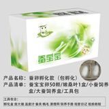 卓盛花卉【当天发货】蚕宝宝活体蚕卵学生科学养蚕套装蚕种蚕籽彩色茧工具 蚕卵孵化款【包孵化】