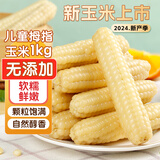 熙食甄谷 零0添加云南手拇指小玉米婴儿童甜糯黏玉米粒棒早餐代餐杂粮2斤