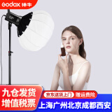 神牛（Godox） SL60D/BI二代双色温直播补光灯LED摄影灯视频常亮美颜拍照摄影棚打光柔光灯 热购【2】SL60W升级-柔光球套装 D白光版