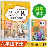 六年级下册字帖 小学生同步练字帖 人教版语文教材课本生字练习偏旁结构组词造句铅笔临摹 描红练字帖