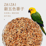 再再 五色黍子鹦鹉饲料鸟食带壳小米玄风牡丹混合小型鸟粮谷子5斤鸟粮 【高品质混合五色黍子】2500克