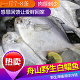 海捕舟山银鲳鱼新鲜鲜活冷冻海鲜水产深海银昌鱼净重8斤装鲜木