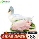 云依禾农庄鸭子土鸭子大白鸭嫩鸭子肉 净重约900g/只