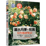 灌丛月季 玫瑰12月栽培笔记
