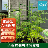 匠心绽放园艺支架四边形60cm爬藤架番茄黄瓜种菜架子植物攀爬架花爬架