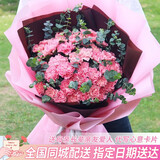 来一客鲜花速递康乃馨百合生日祝福礼物鲜花送妈妈老师同城配送 33朵粉色康乃馨+尤加利