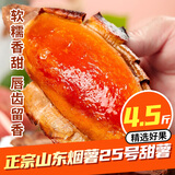 鲁禧海岸正宗山东烟薯25号 超甜红薯糖心烟薯新鲜番薯地瓜烤薯 源头直发 烤薯店大果净重4.5斤单果8两以上
