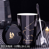 锦顺鑫荣十二星座创意个性杯子陶瓷马克杯带盖勺家用喝水杯子办公茶杯情侣 黑色水瓶(带盖勺) 401-500ml
